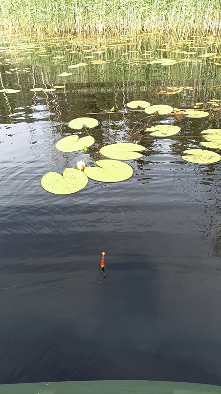 Фото из отзыва от 29.07.2024