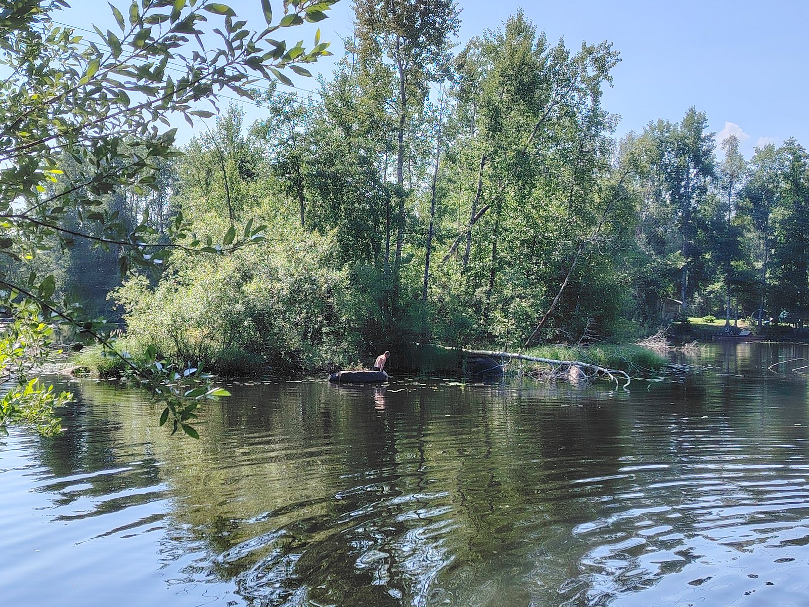 Фото 3 из отзыва о гостевом доме Беличье