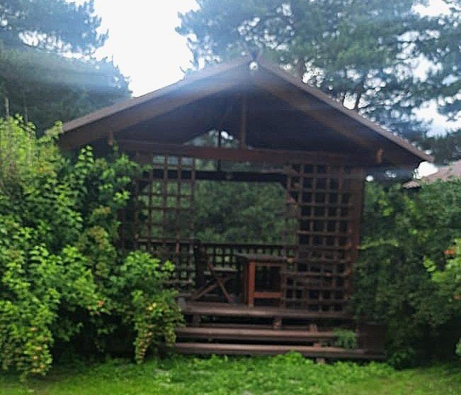 Индиго, Горный Алтай (Республика Алтай): фото 5