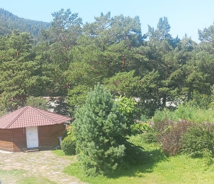 Индиго, Горный Алтай (Республика Алтай): фото 4