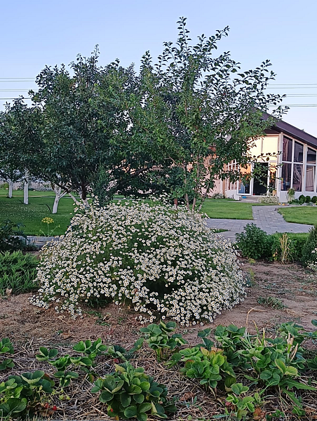Дом на Пичуге, Волгоградская область: фото 5