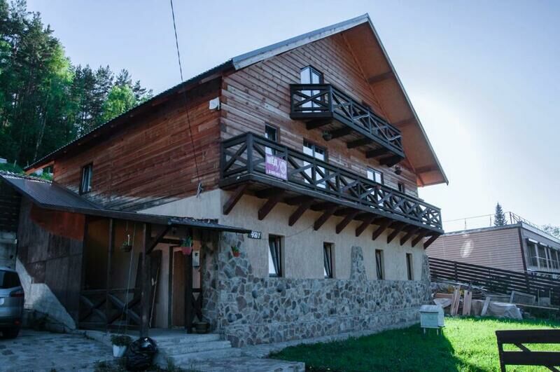 Горная пчела, Алтайский край: фото 2