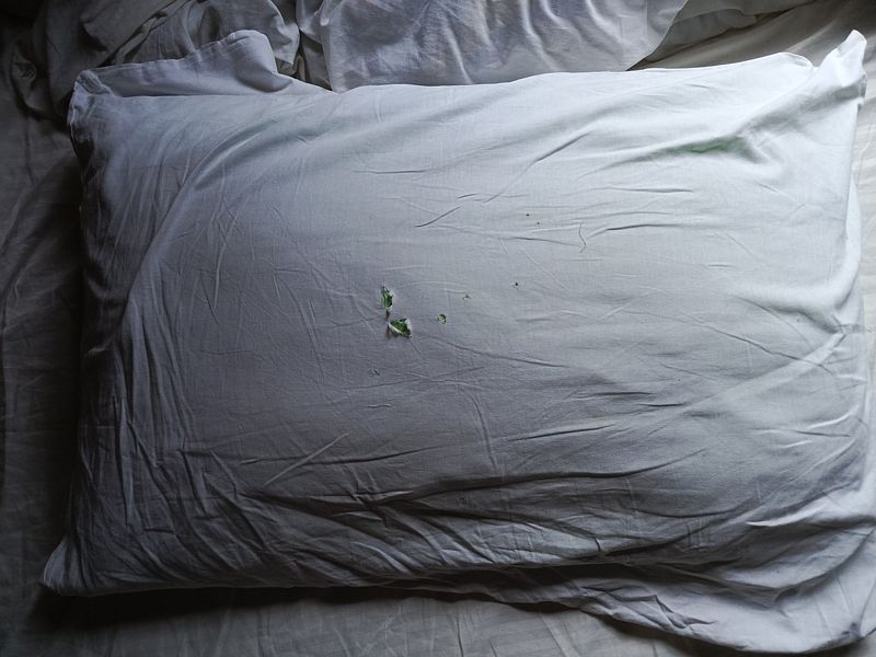 Фото 5 из отзыва о базе отдыха Константа