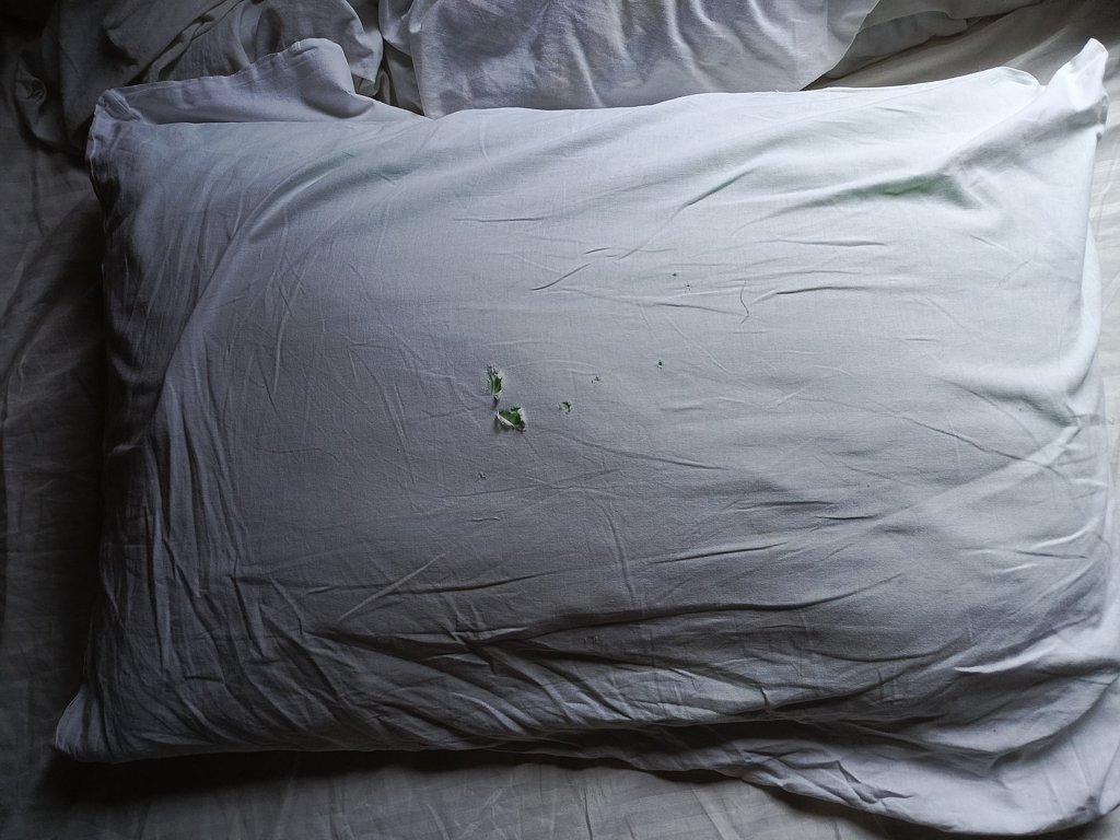 Фото из отзыва от 05.08.2024