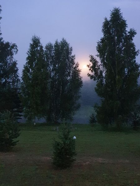 Фото 4 из отзыва о базе отдыха Верхненикольское