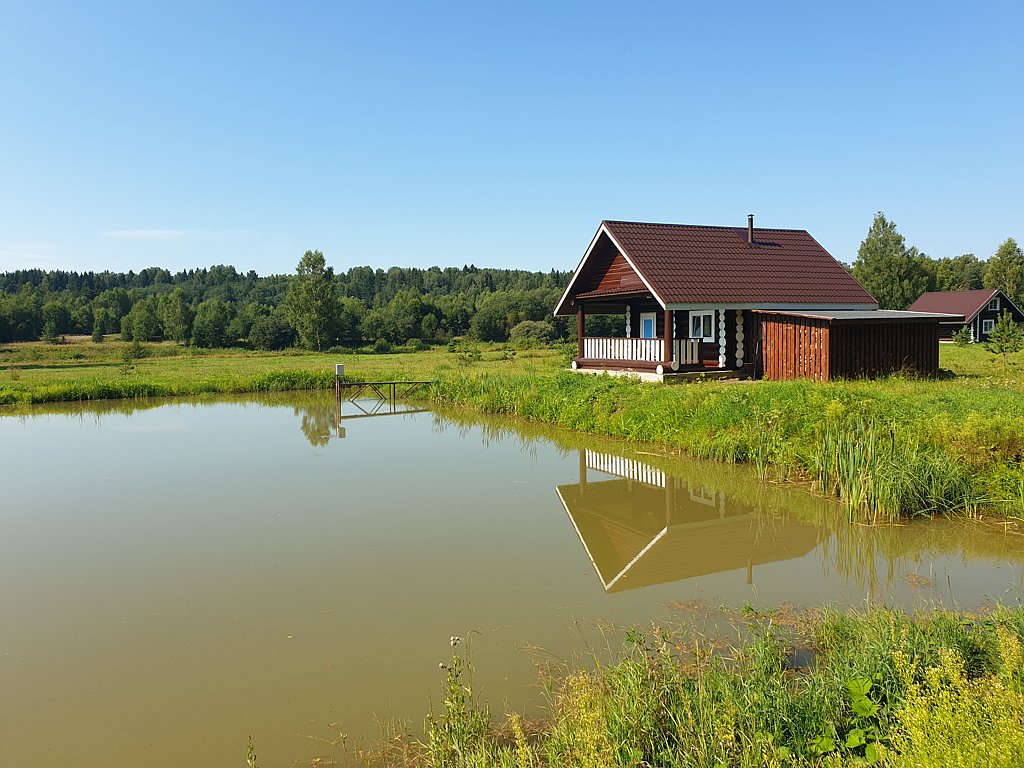 Фото из отзыва от 21.07.2024