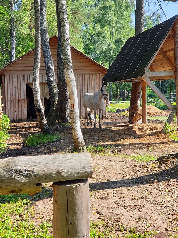 Фото из отзыва от 21.07.2024