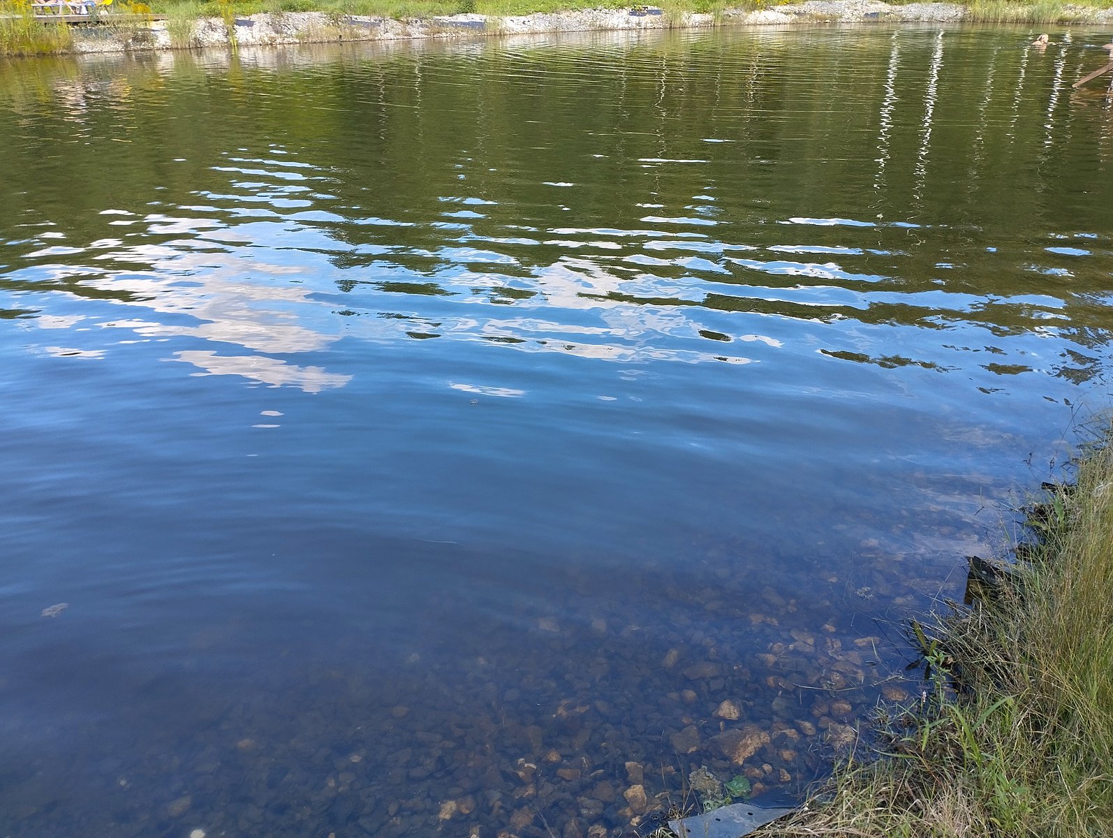 Фото 14 из отзыва об экопарке Лесной ключ