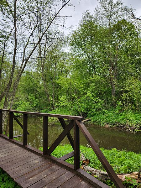 Живописный остров, Московская область: фото 5