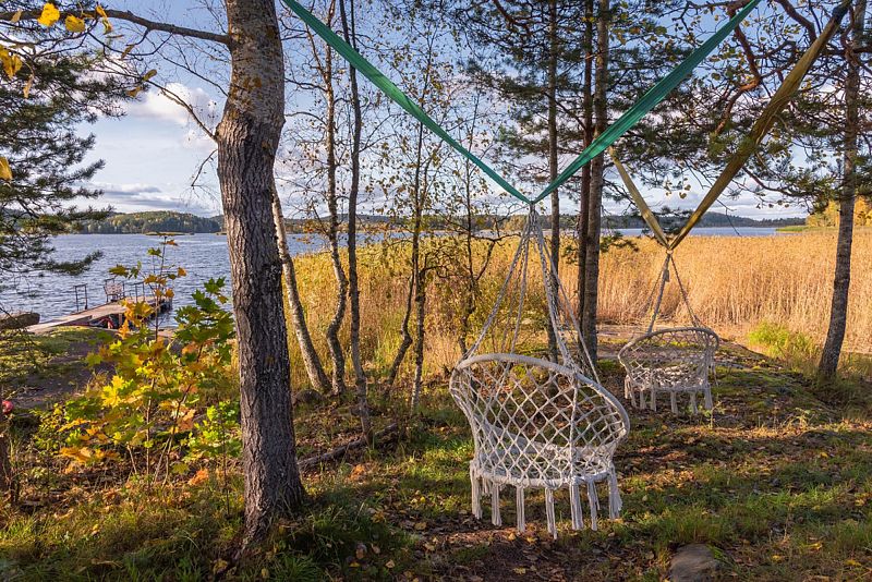 Берег у леса, Республика Карелия: фото 4