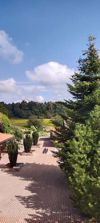 Фото из отзыва от 05.08.2024