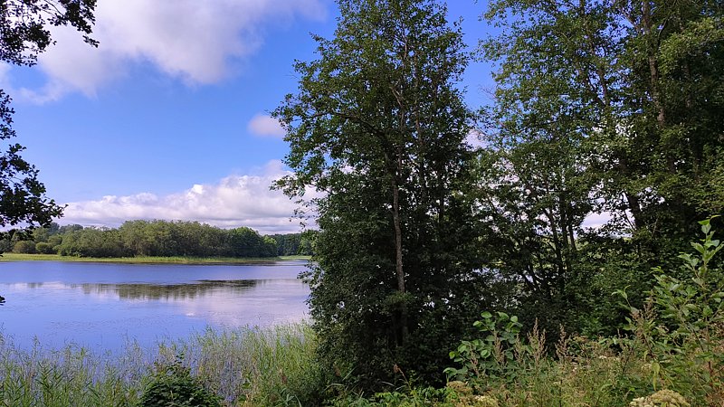 Фото 2 из отзыва о базе отдыха Селигерская Пасека