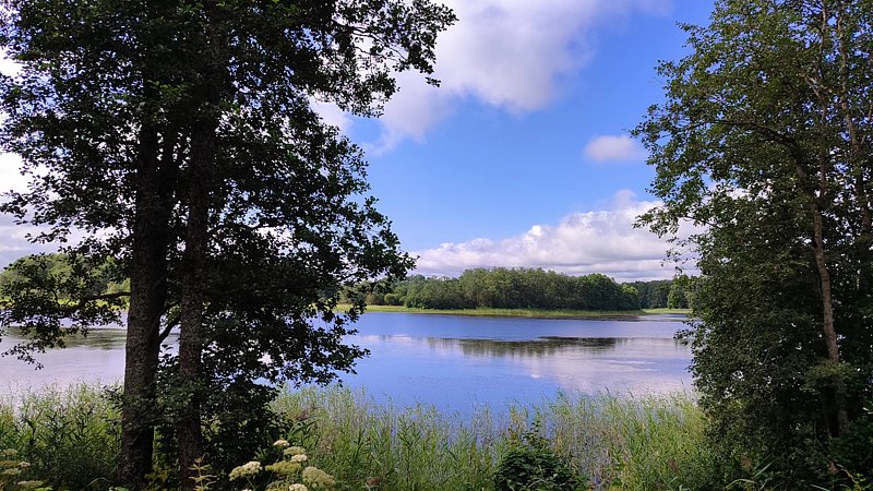 Фото 1 из отзыва о базе отдыха Селигерская Пасека