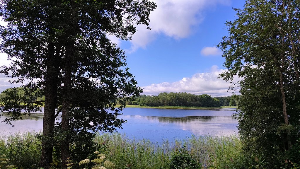 Фото из отзыва от 29.07.2024