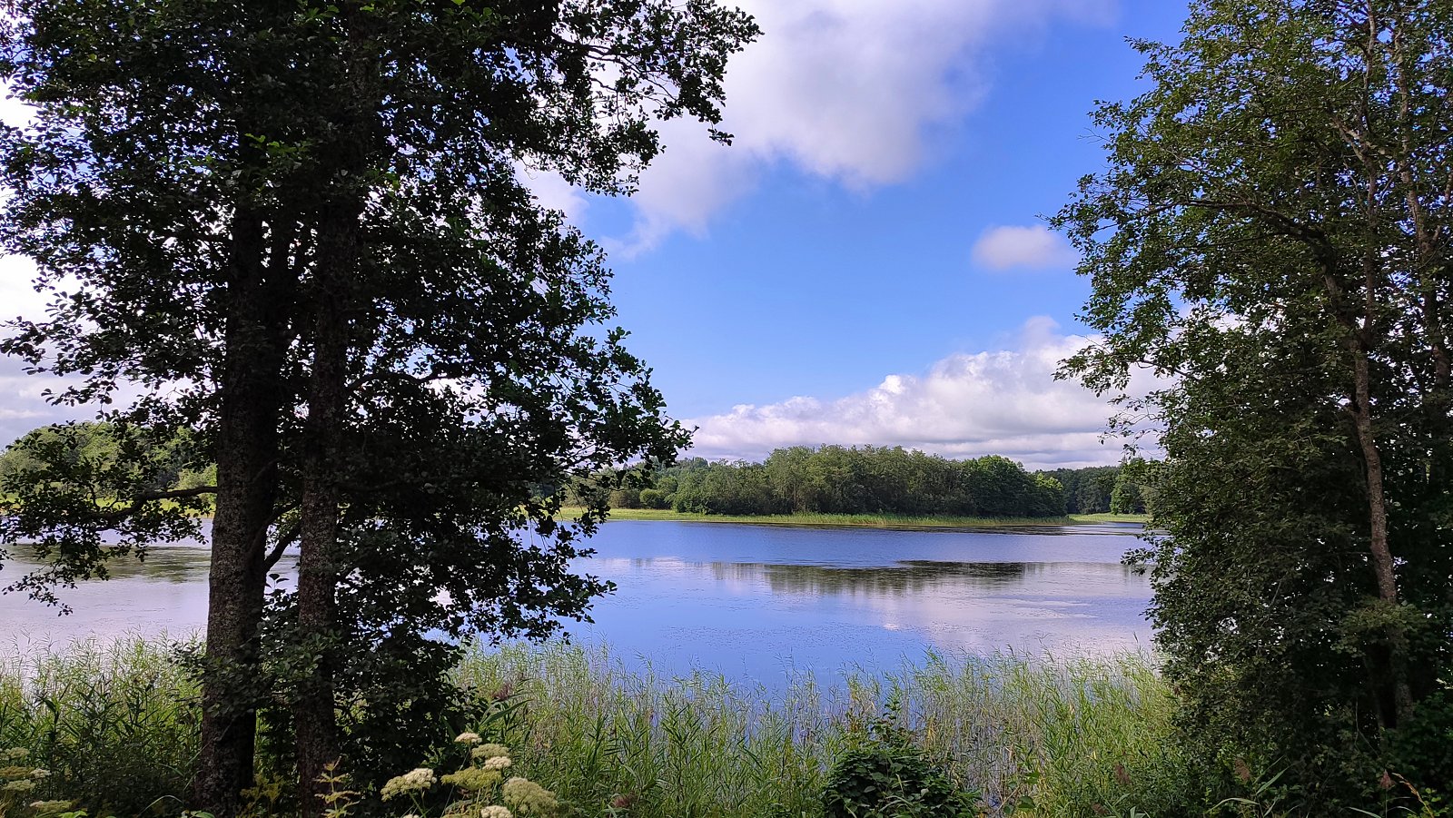 Фото 2 из отзыва о базе отдыха Селигерская Пасека