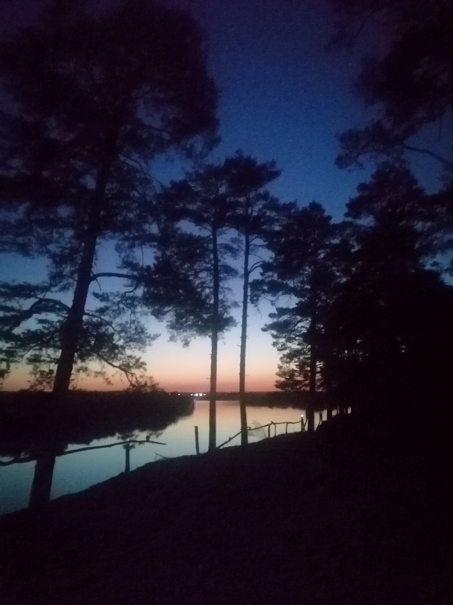 Фото 20 из отзыва о базе отдыха Место отдыха Берлога