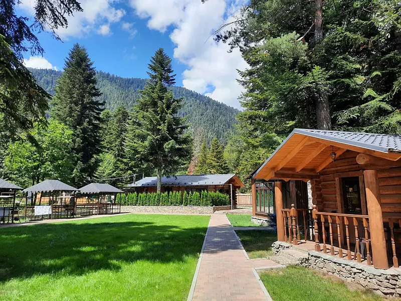 Гостиница Mount Arkhyz (Маунт Архыз), Республика Карачаево-Черкесия, Архыз Зеленчукский район