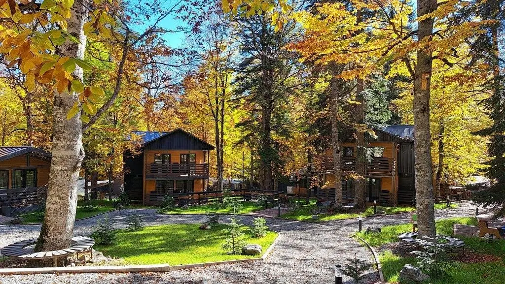 Arkhyz Family Club, Республика Карачаево-Черкесия: фото 3