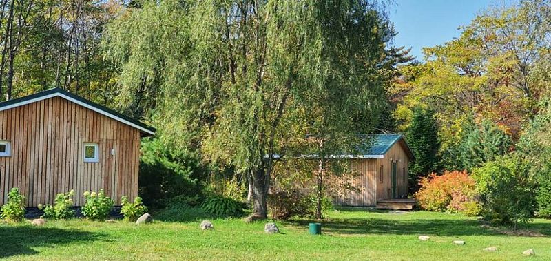 Багульник, Приморский край: фото 3