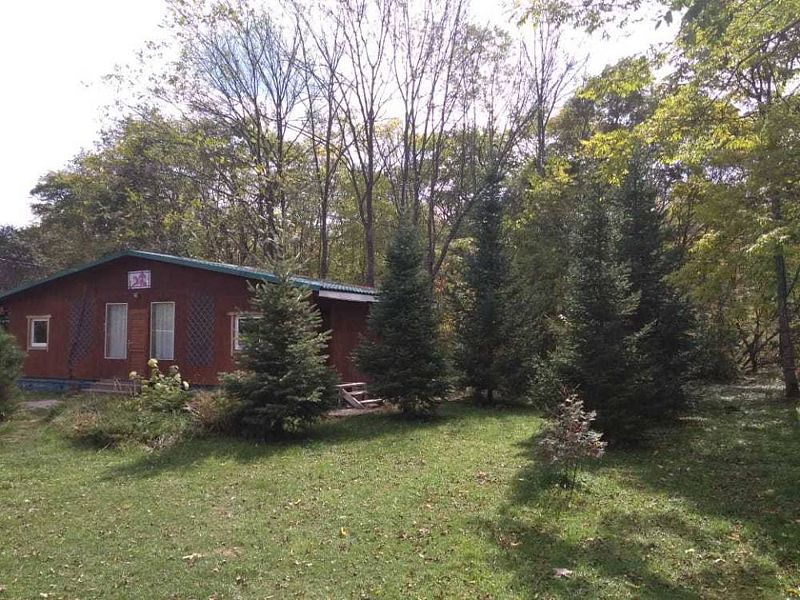 Багульник, Приморский край: фото 5