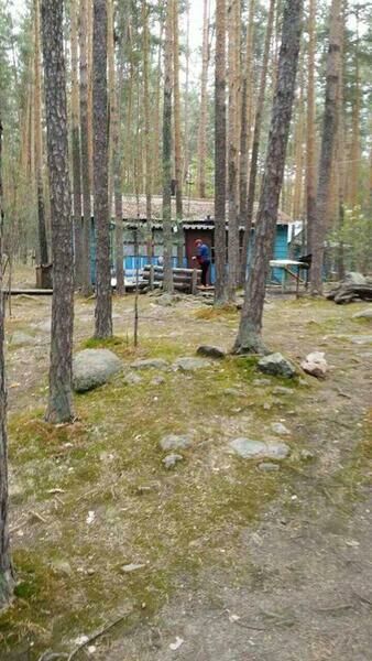 Сосновая горка, Челябинская область: фото 5