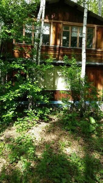 Рябинка, Челябинская область: фото 2