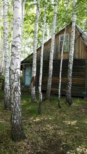 Рябинка, Челябинская область: фото 3