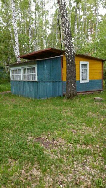 Березовая роща, Челябинская область: фото 2