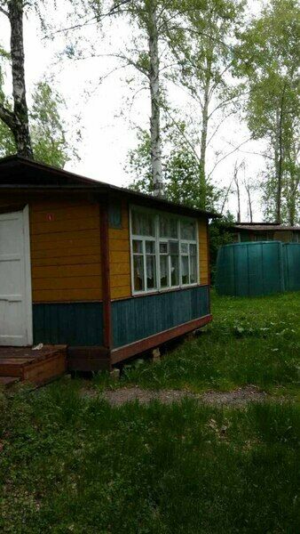 Березовая роща, Челябинская область: фото 3