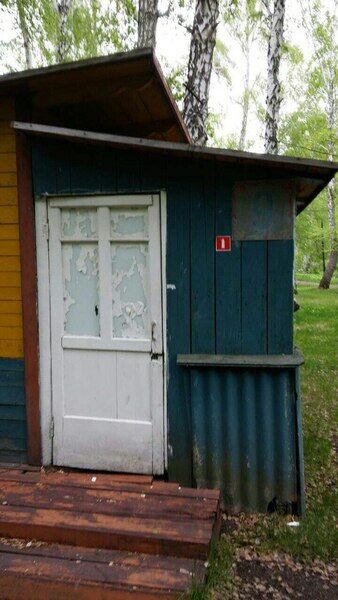 Березовая роща, Челябинская область: фото 4