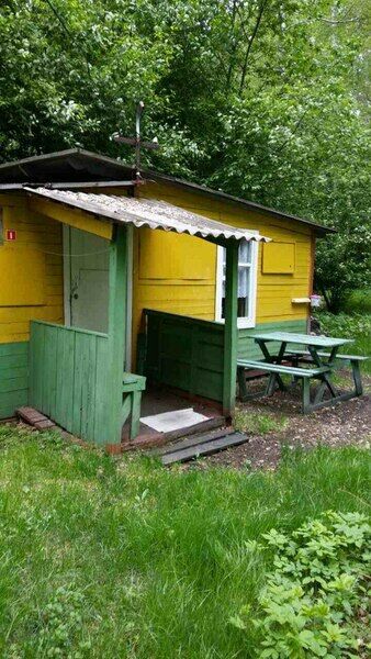 Березовая роща, Челябинская область: фото 5