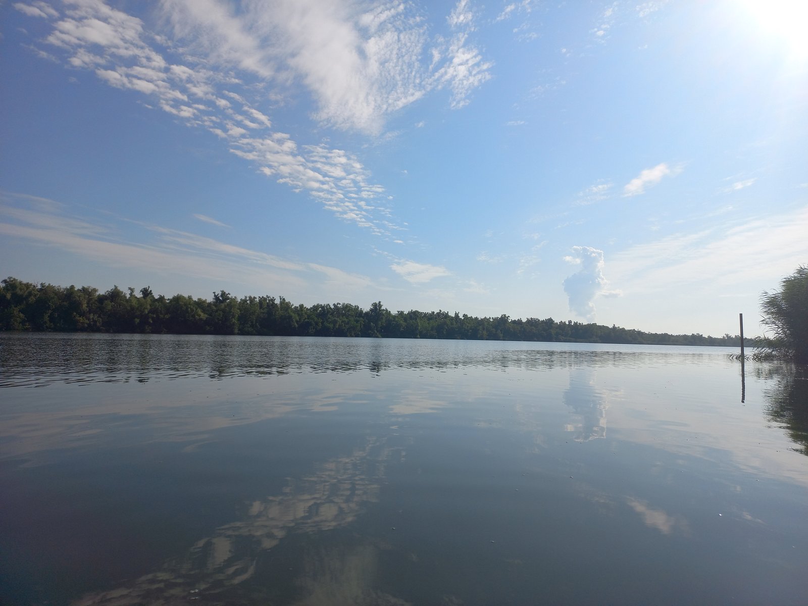 Фото 1 из отзыва о базе отдыха Тихая Гавань