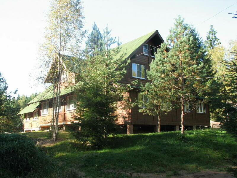 Шишки, Тверская область: фото 2