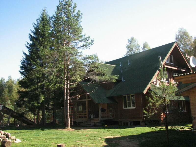 Шишки, Тверская область: фото 3