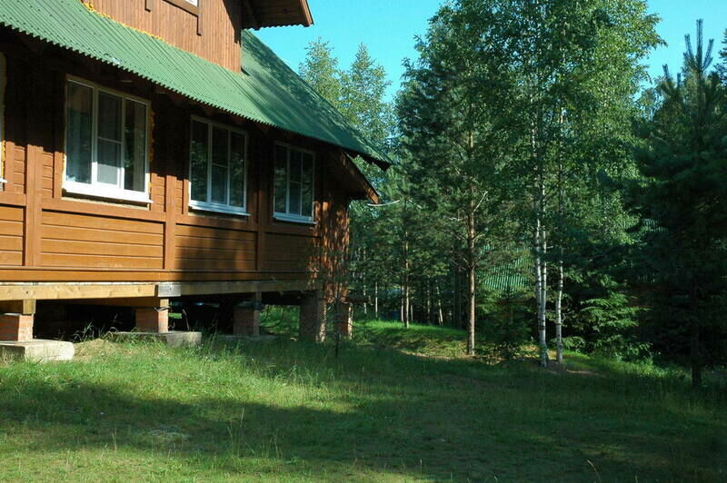 Шишки, Тверская область: фото 4