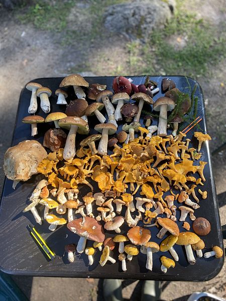 Фото 1 из отзыва о коттеджном комплексе Плотвичкина заводь