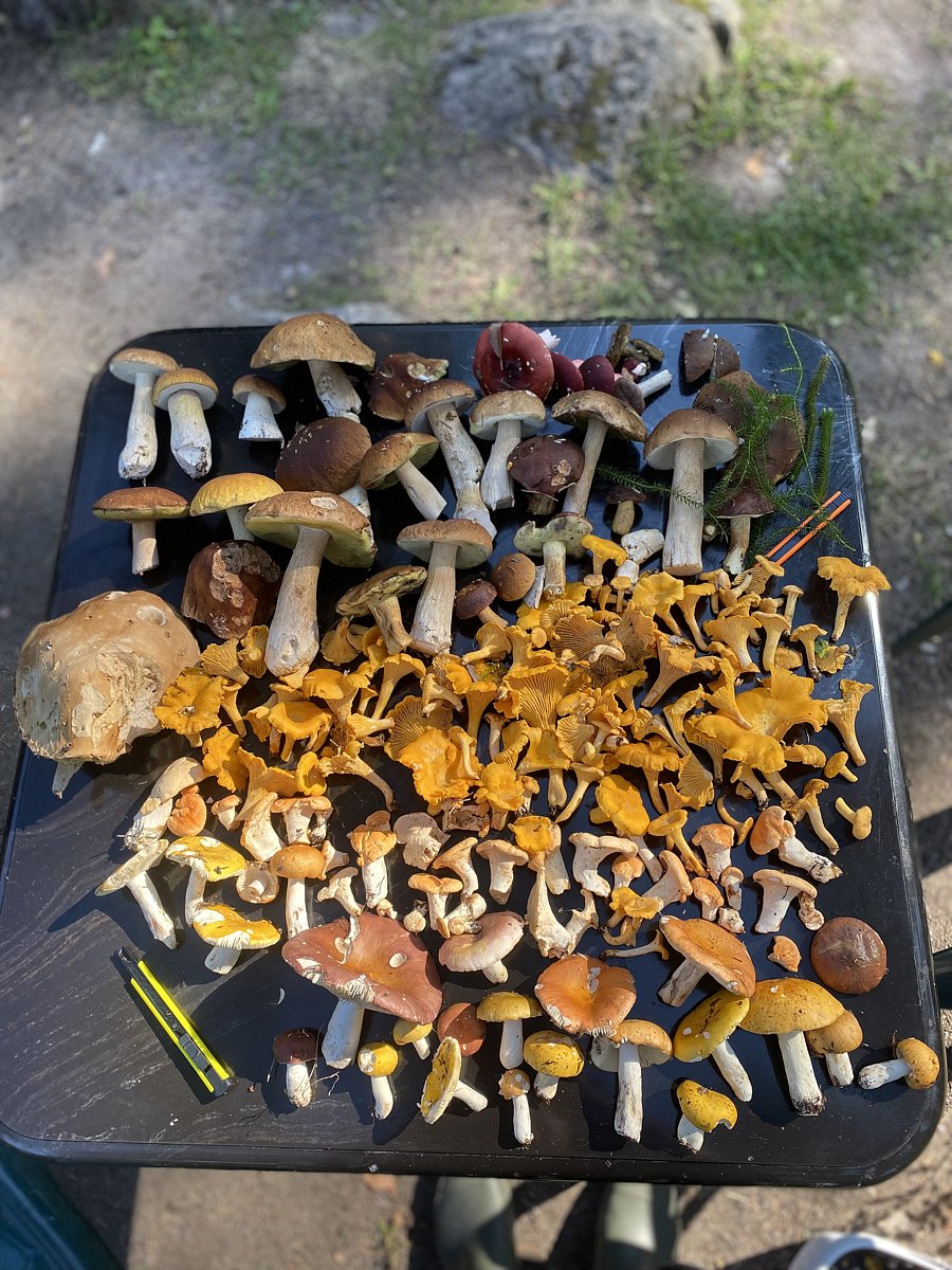 Фото 8 из отзыва о коттеджном комплексе Плотвичкина заводь