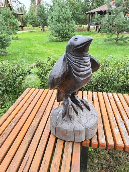 Фото 4 из отзыва о базе отдыха Полушкино