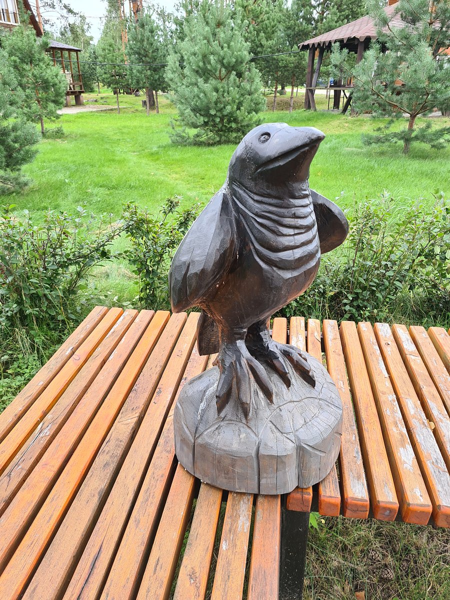 Фото 4 из отзыва о базе отдыха Полушкино