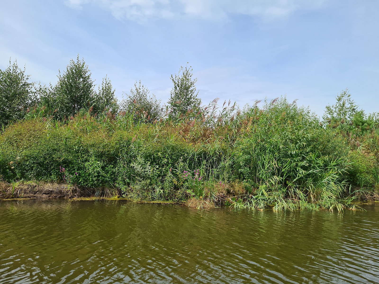 Фото 14 из отзыва о базе отдыха Полушкино