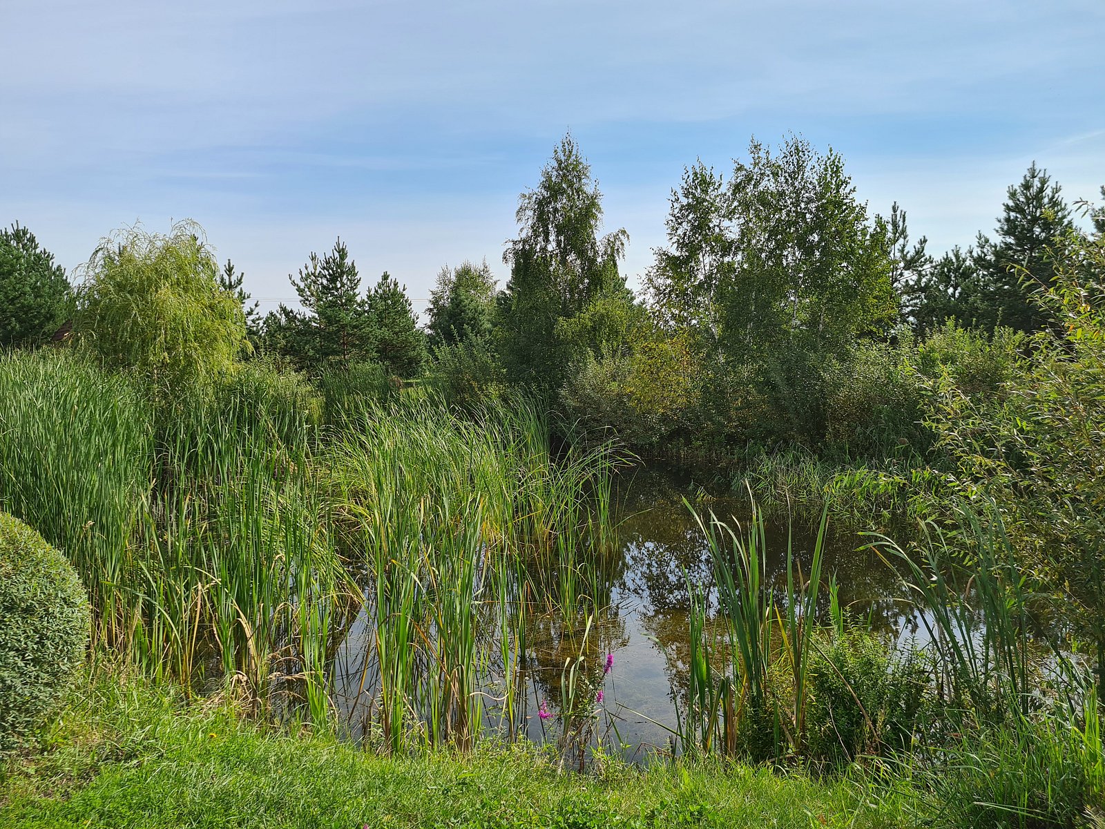 Фото 6 из отзыва о базе отдыха Полушкино