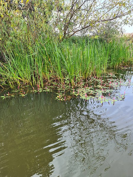 Фото 20 из отзыва о базе отдыха Полушкино