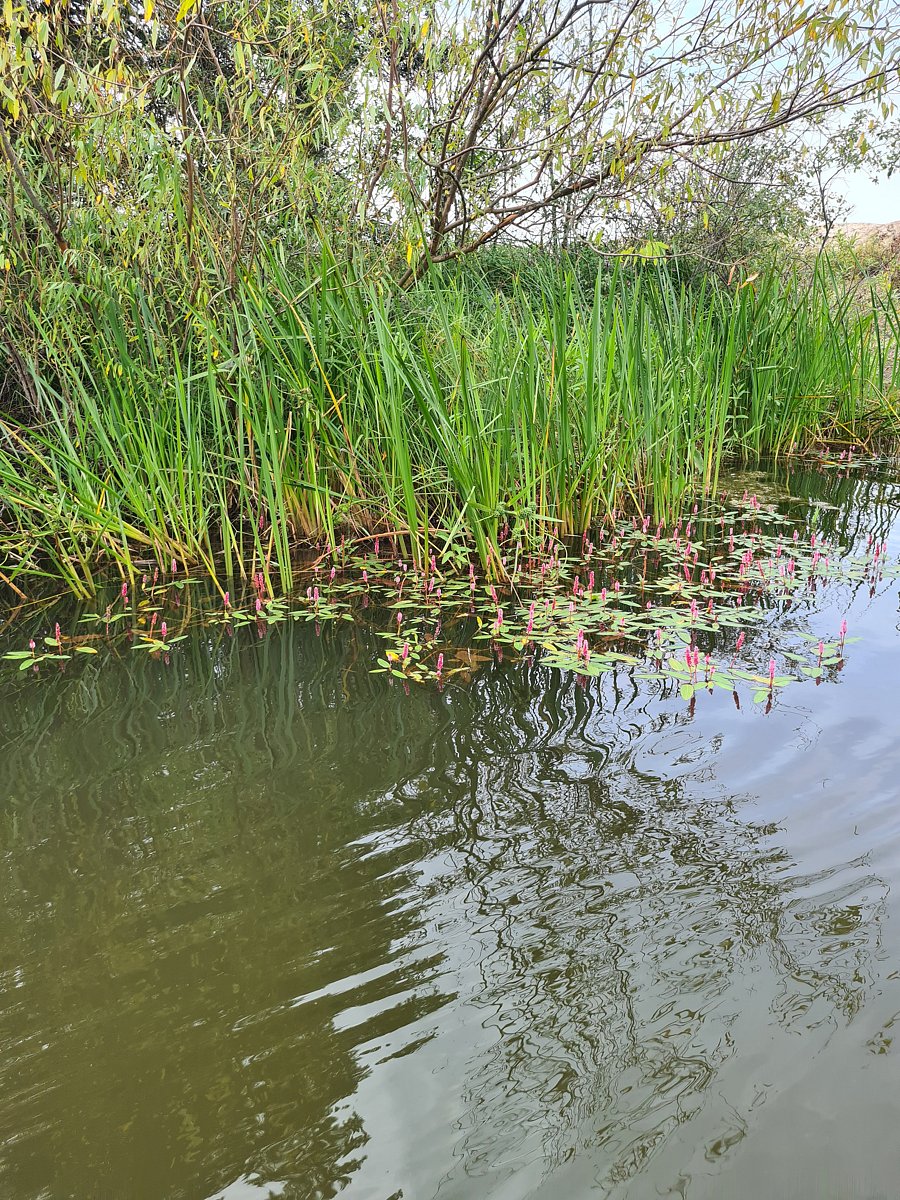 Фото 20 из отзыва о базе отдыха Полушкино