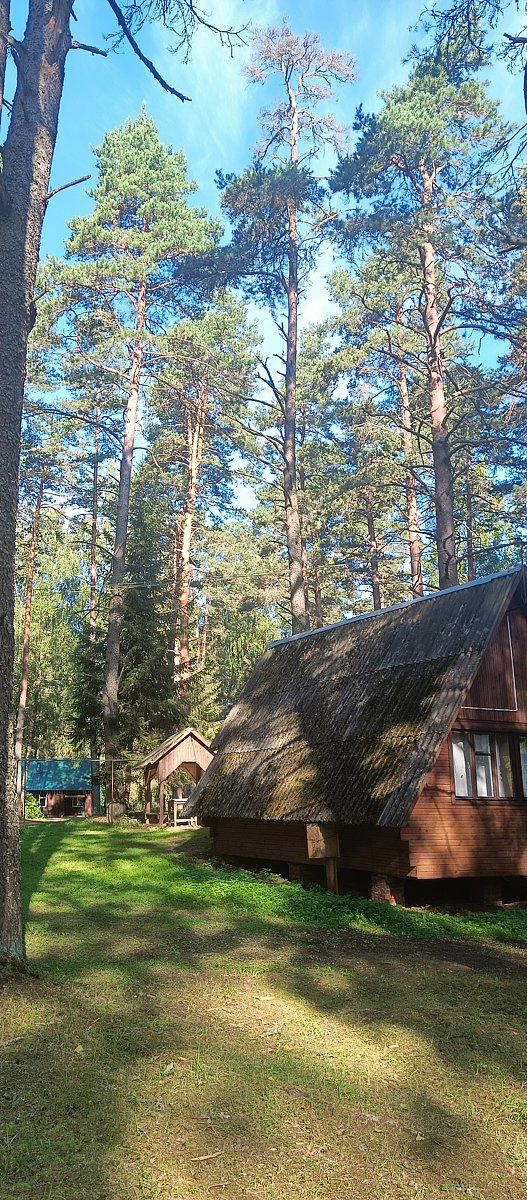 Фото 17 из отзыва о базе отдыха Коломно