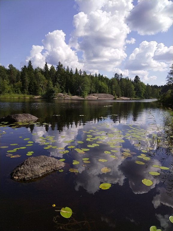Фото из отзыва от 05.08.2024