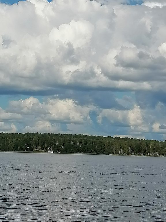 Фото из отзыва от 05.08.2024