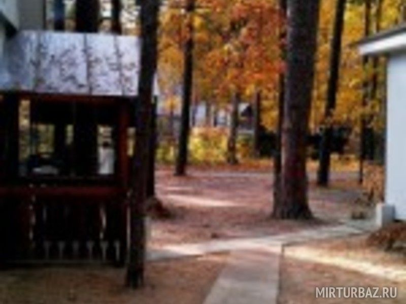 Территория | Медведь, Липецкая область