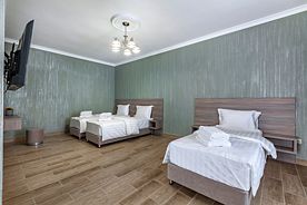 Студия улучшенная, Гостевой дом VIZANTIA Шереметьево Москва, Исаково