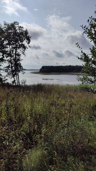 Фото 1 из отзыва о базе отдыха Селигерская Пасека