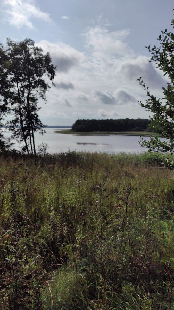 Фото 1 из отзыва о базе отдыха Селигерская Пасека